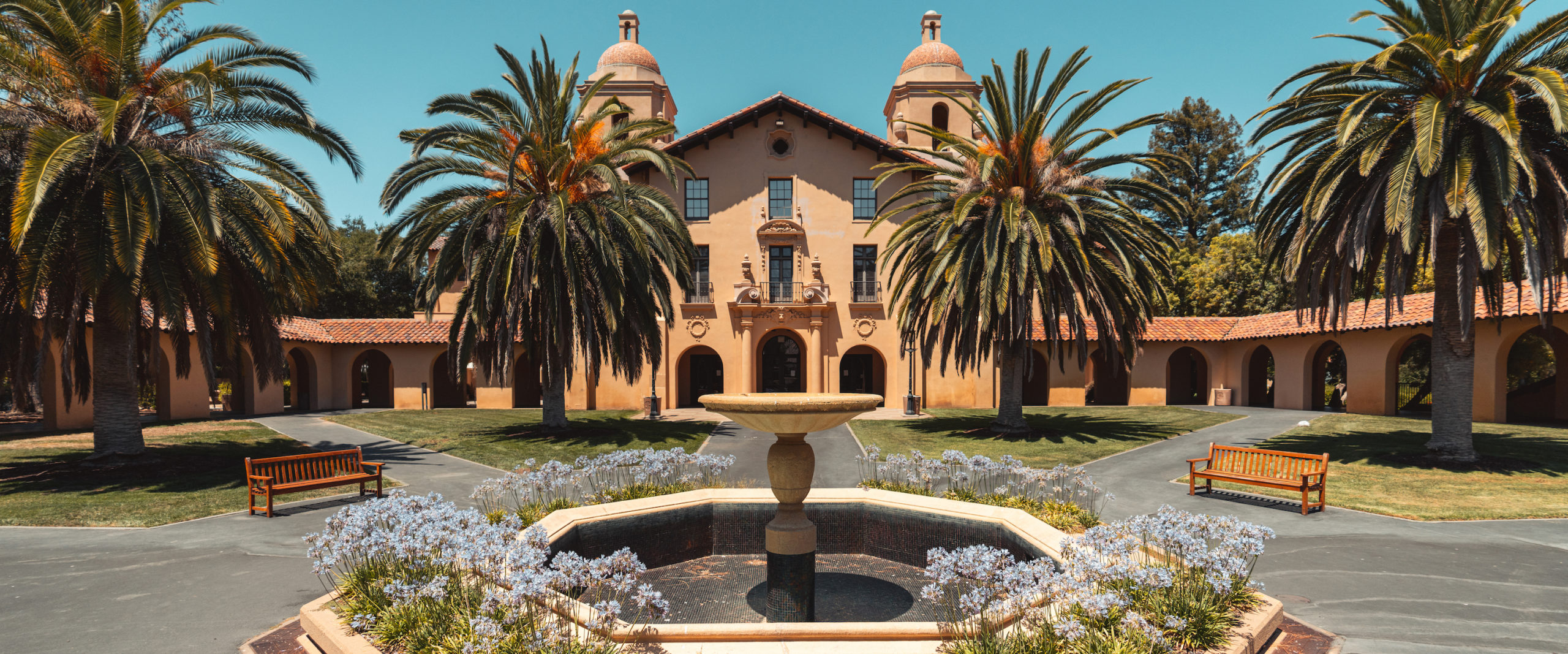 stanford university